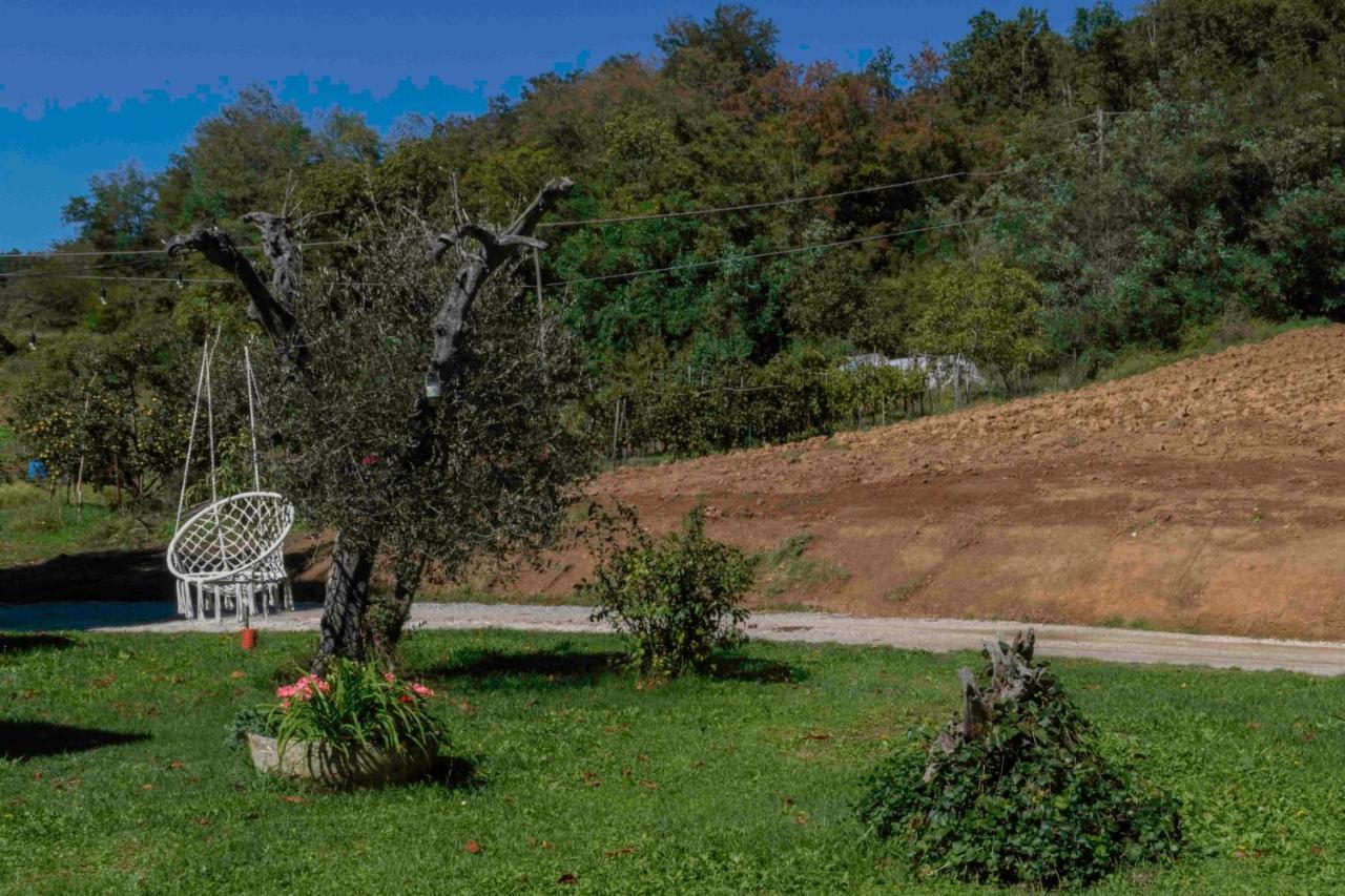 Podere Pratizzoli Tole Kültér fotó