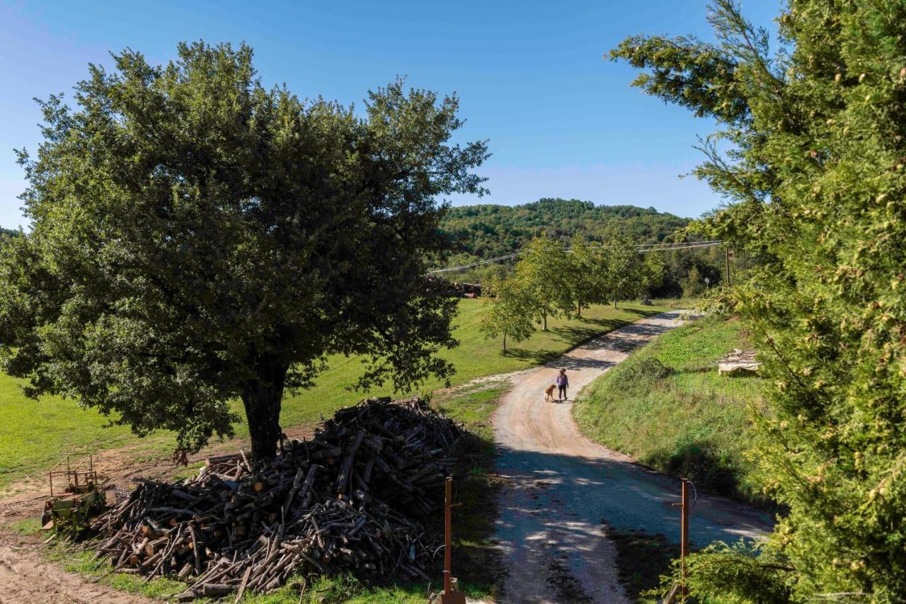 Podere Pratizzoli Tole Kültér fotó